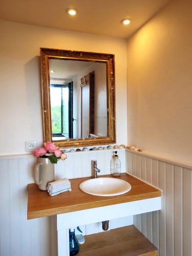 une salle de bain avec un lavabo et un miroir dans l'établissement L'Atelier des Huppes, à Joyeuse