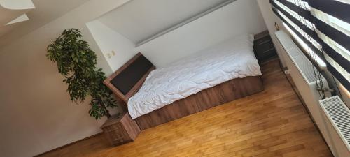 um pequeno quarto com uma cama e uma planta em Ramhouse em Piteşti