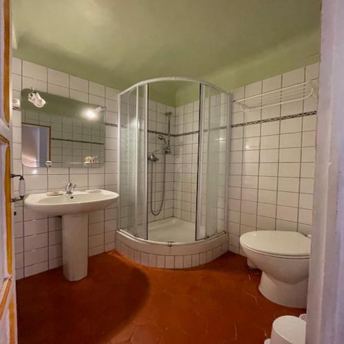 une salle de bain avec une douche, un lavabo et des toilettes dans l'établissement Maison de village centre Quinson, à Quinson