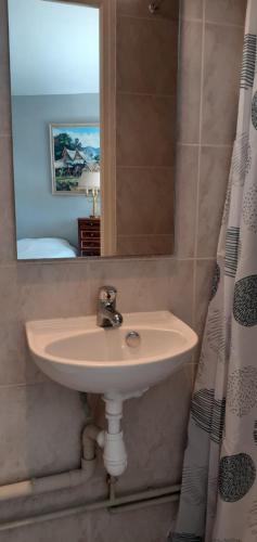 une salle de bain avec un lavabo et un miroir dans l'établissement Résidence 250 m plage de Guidel, à Guidel