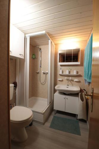 a bathroom with a toilet a sink and a shower at Studio Luizet Nr 28 in Leukerbad