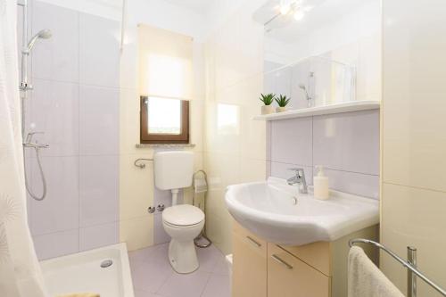 ein Badezimmer mit Toilette, Waschbecken und Dusche in der Unterkunft House Gorana by IstriaLux in Bibići