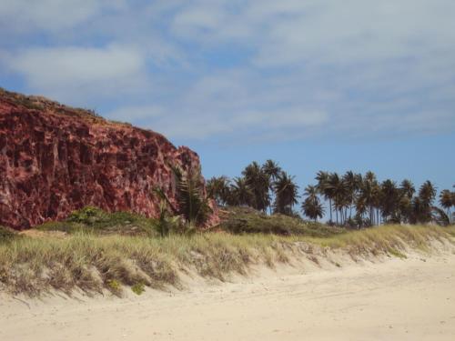 a beach with palm trees and a large rock at Casa Litoral Sul - Praia Bela/ PB in Pitimbu
