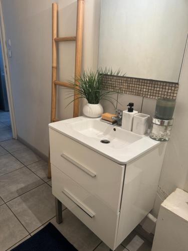 La salle de bains est pourvue d'un lavabo blanc et d'une plante. dans l'établissement Charmant studio situé en centre-ville, à Marseille