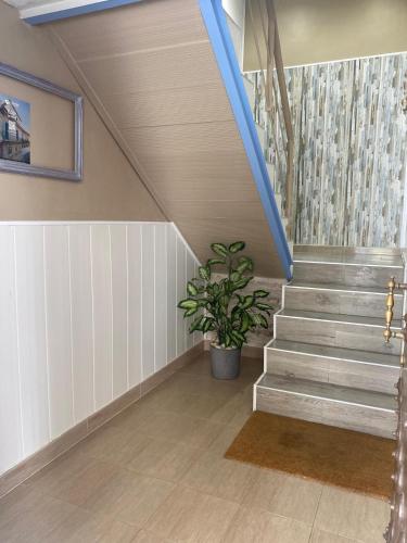 a staircase in a house with a potted plant at LA CASA MIRADOR DE ÉCIJA in Écija