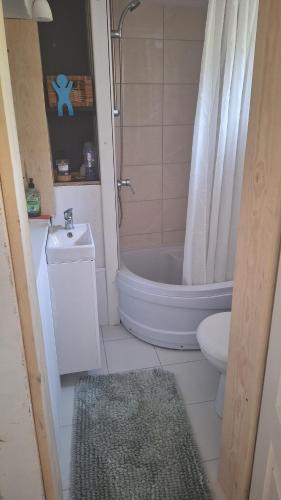 a bathroom with a shower and a toilet and a sink at Szalupa Hostel Airport in Zakroczym