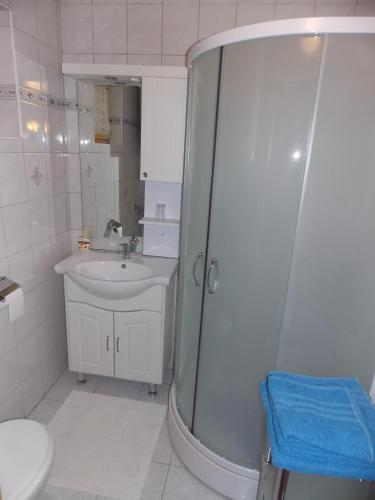 a bathroom with a shower and a sink and a toilet at Holiday House Kaja in Mojstrana