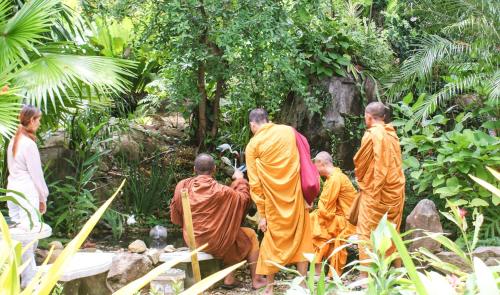 a group of monks walking through a forest at Rock Inn Bailan in Ko Chang