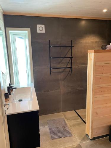 a kitchen with a sink and a shelf on the wall at Ferienhaus Trollebo in Sinnes