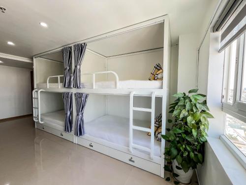 a white bunk bed in a room with a plant at Quoc Cuong Hotel & Apartment Danang by Haviland in Da Nang