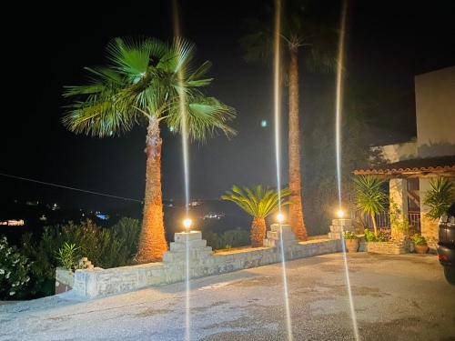 a parking lot with palm trees at night at Aristos Apartments & Suites in Stalos