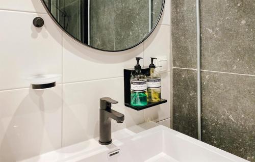 a bathroom sink with a mirror and a shower at Nice Home In Rheezerveen With Sauna in Rheezerveen
