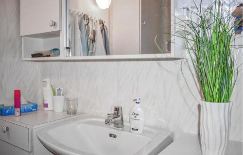uma casa de banho com um lavatório e um vaso com plantas em Beautiful Home In Grnna With Kitchen em Gränna