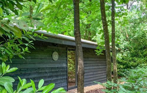 a small cabin in the woods with trees at Awesome Home In Rheezerveen With Sauna in Rheezerveen