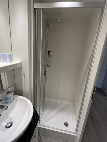 a bathroom with a shower and a sink at Gasthaus Weißes Ross in Burghaslach