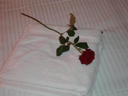 a white towel with a red rose on it at Hotel Eikenhof in Aalter