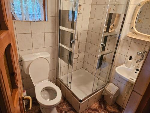 a bathroom with a shower and a toilet and a sink at Domek u Marysi in Bukowiec