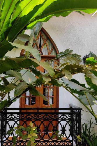 a door with a bunch of leaves in front of a plant at The Postcard Saligao in Calangute