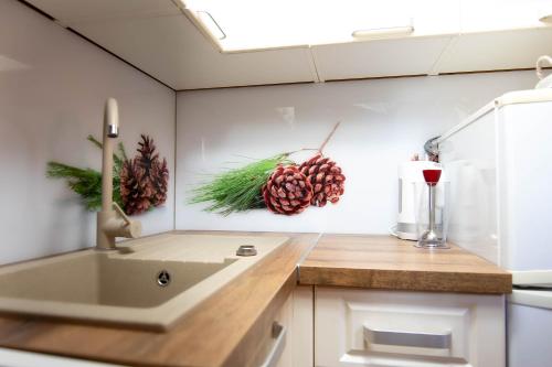 a kitchen with a sink and pine cones on the wall at Cabin Storzek in Pohorje