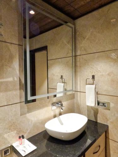 a bathroom with a sink and a mirror at AR Plaza in Chandīgarh
