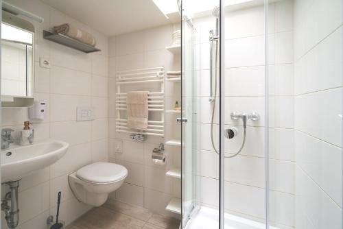a bathroom with a shower and a toilet and a sink at Apartments am Schlosspark in Senftenberg