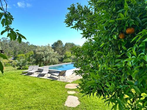 a pool with lounge chairs and an orange tree at Casa S.Cláudio - rural home near Viana do Castelo in Nogueira