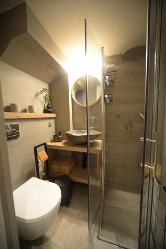 a bathroom with a shower and a toilet and a sink at To Stenaki Apartments in Kalymnos