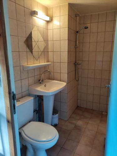 une salle de bain avec toilettes, lavabo et douche dans l'établissement Gîte de la Peyrouse, à Saint-Jean-de-Vaux