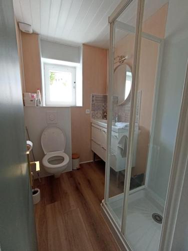 a bathroom with a toilet and a sink and a mirror at gîte au champ d'avoine in Mauléon