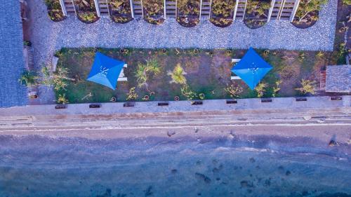 three blue stars on a beach near the water at Moyo Island Resort in Moyo Island
