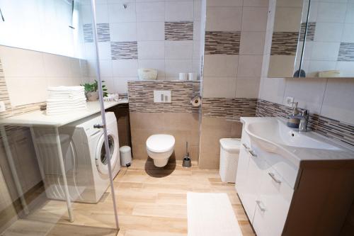 a bathroom with a toilet and a sink and a shower at APARTMA JAKOPIČ in Zgornje Gorje