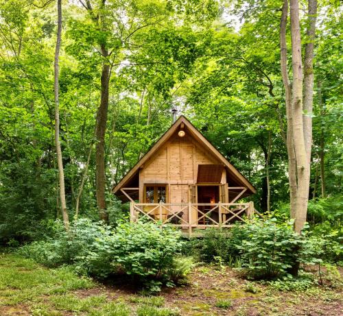 a small wooden cabin in the middle of a forest at Château de Saint Paterne in Saint-Paterne