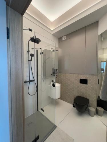 un bagno con doccia in vetro e WC di Tymiankowa Przystań a Ełk