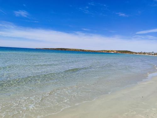 a beach with the ocean and a blue sky at Da Tziu Efisiu Mare e Relax nel Sinis in Baratili San Pietro