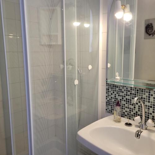 une salle de bain avec douche et lavabo dans l'établissement Studio-2 Personnes-Résidence Le Pharo, Vue Piscine Port, au Cap d'Agde