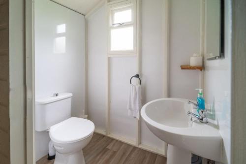 a white bathroom with a toilet and a sink at Coot - Exton Park in Exton