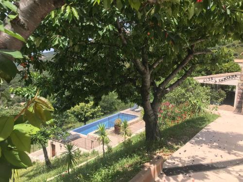a view of a swimming pool with a tree at Gîte A Funtana Montestremo, Balagne, Haute Corse in Manso