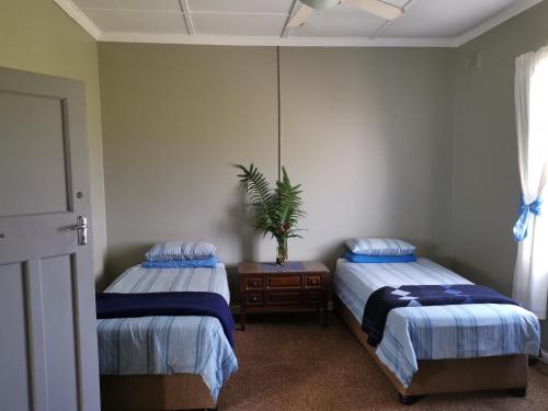 a bedroom with two beds and a potted plant at Oceanic Flashpackers accommodation in East London