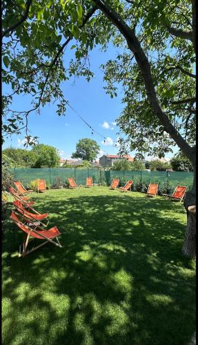 a group of chairs sitting in the grass at Rooms Svoboda in Olomouc