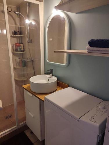 une petite salle de bain avec un lavabo et une douche dans l'établissement Chez Antoine, à Boulogne-Billancourt
