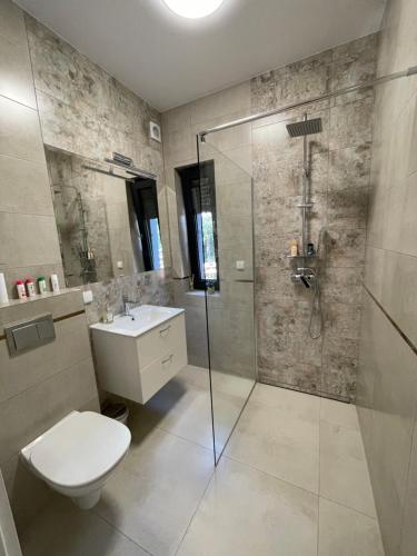 y baño con ducha, aseo y lavamanos. en Apartamenty Lipowy Zakątek en Iława