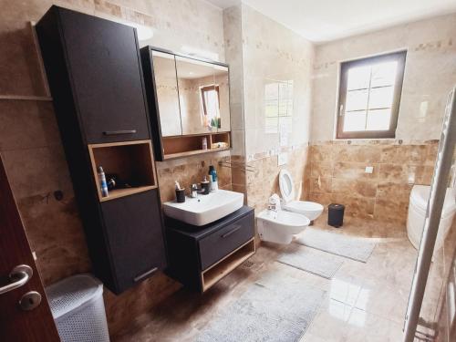 a bathroom with a sink and a toilet at Vila Rakovica Ilidža Sarajevo in Sarajevo