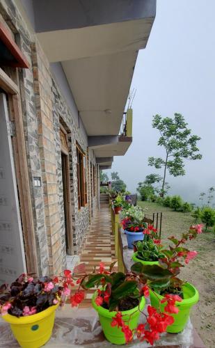 a row of potted plants on the side of a building at Khee Homestay in Kurseong