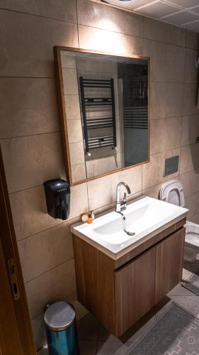 a bathroom with a sink and a mirror and a toilet at Ayder Elif Apart Daire in Ayder Yaylasi
