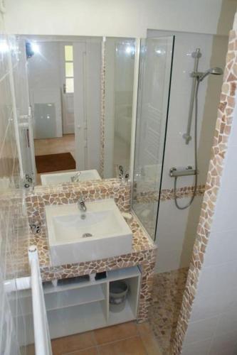 une salle de bain avec un lavabo, une douche et un miroir dans l'établissement Charmant studio sur le port, à Kamiesch