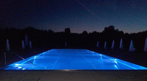 a blue swimming pool at night with a group of cymbidium at Gut Drasing in Krumpendorf am Wörthersee
