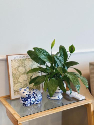 a plant sitting on top of a table at Swanlake Cozy Ecopark in HÆ°ng YÃªn