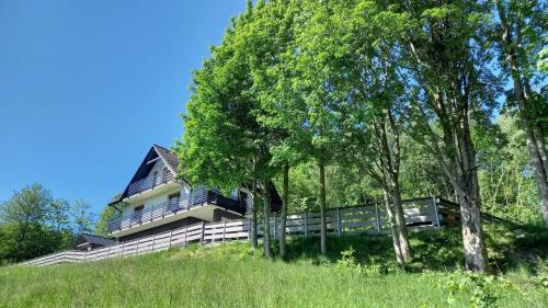 a house on top of a hill with trees at Dom Camelowo Willa in Brenna