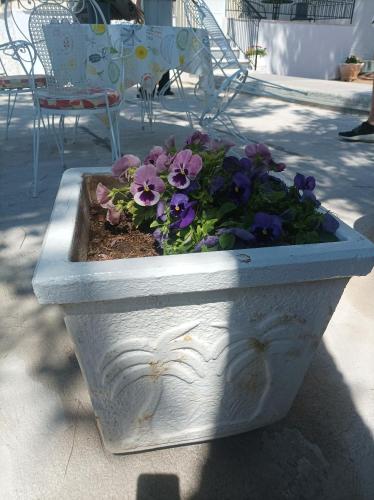 a white planter with purple flowers in it at Selene house in Selínia