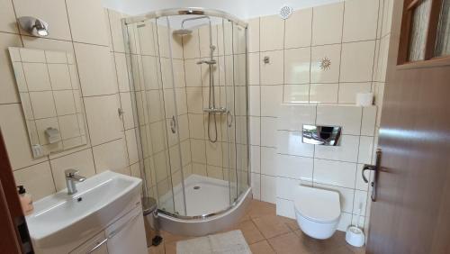 La salle de bains est pourvue d'une douche, de toilettes et d'un lavabo. dans l'établissement Agroturystyka "Pod złotą rybką", à Wolany